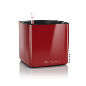 LECHUZA CUBE GLOSSY 16 lechuza