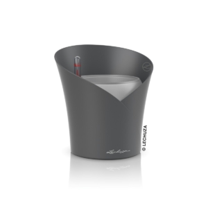 LECHUZA ORCHIDEA lechuza