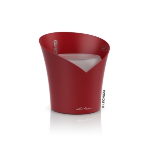 LECHUZA ORCHIDEA lechuza