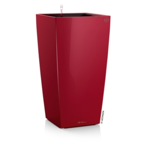 LECHUZA CUBICO PREMIUM lechuza