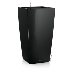 LECHUZA CUBICO PREMIUM lechuza