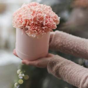 Пудровая нежность 