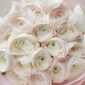 Букет ранункулюсов 