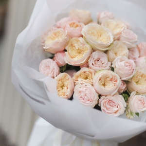 Новый сезон 