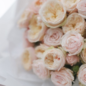 Новый сезон 