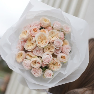 Новый сезон 