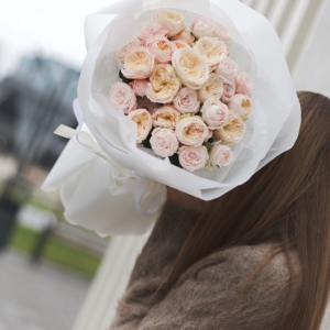 Новый сезон 